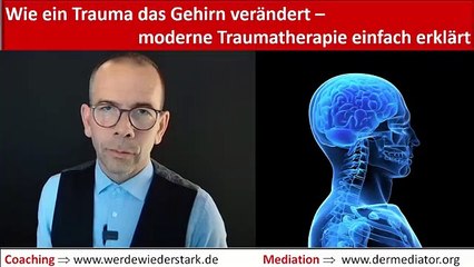 Moderne Traumatherapie - Wie geht das und wie verändert ein Trauma das Gehirn