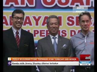 Perlis wujudkan pusat ternakan ayam terbesar & moden