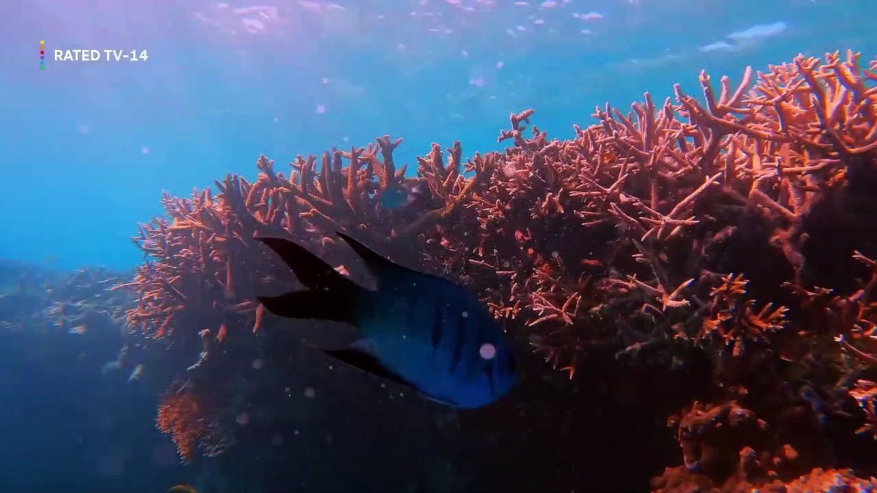 Below Deck Down Under