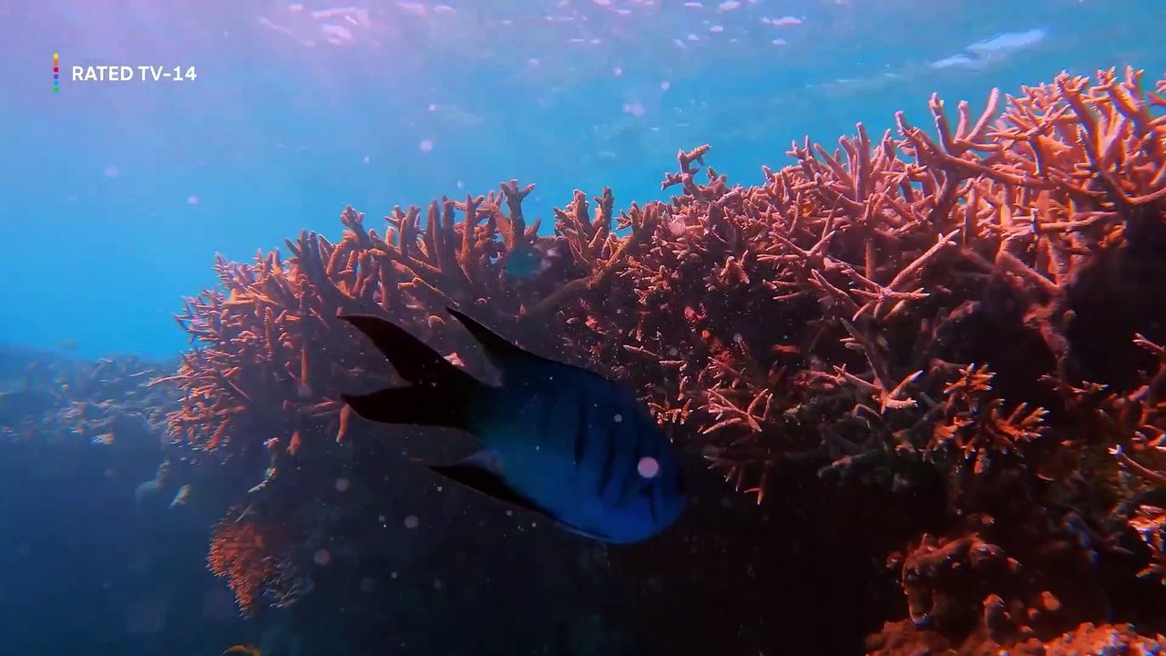 Below Deck Down Under Trailer