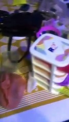 वीडियो में देखिए…एसे सूने मकान को चोरों ने बनाया निशाना