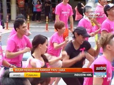 Bulan kesedaran kanser payudara