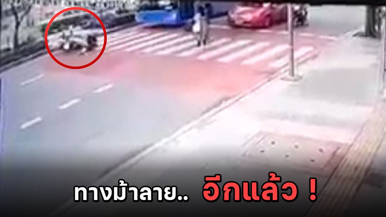 หยุดแล้วซวย ! จยย. หยุดให้คนข้ามทางม้าลาย เจอรถเมล์พุ่งชนกระเด็น !!