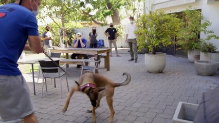 Dog Movie Behind The Scenes - Dog Training