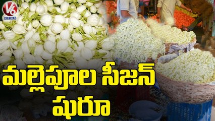 Supply Increased For Jasmine Flower Over Season Begins _ V6 News