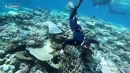 Great Barrier Reef_ Could cloud brightening slow impact of coral bleaching