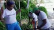 Chagos islanders make historic trip home without British escort - BBC News