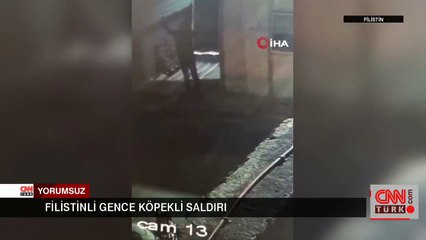 Filistinli gence köpekli saldırı