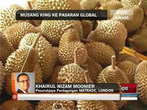 Agenda Awani: Musang King ke pasaran global