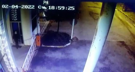 Beslediği köpeklerin saldırısına uğradı, yine de köpekleri beslemekten vazgeçmedi