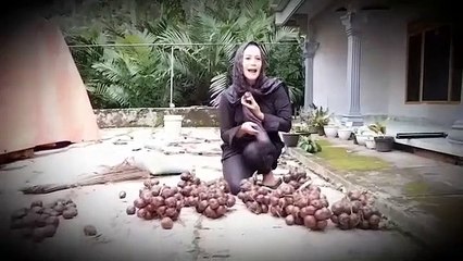 selling salak fruit in front of the house