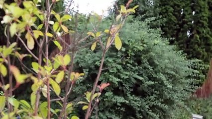 Journée de la rénovation - Réhabilitation d’une ancienne chapelle de campagne pour en faire une maison familiale. Contruite en…