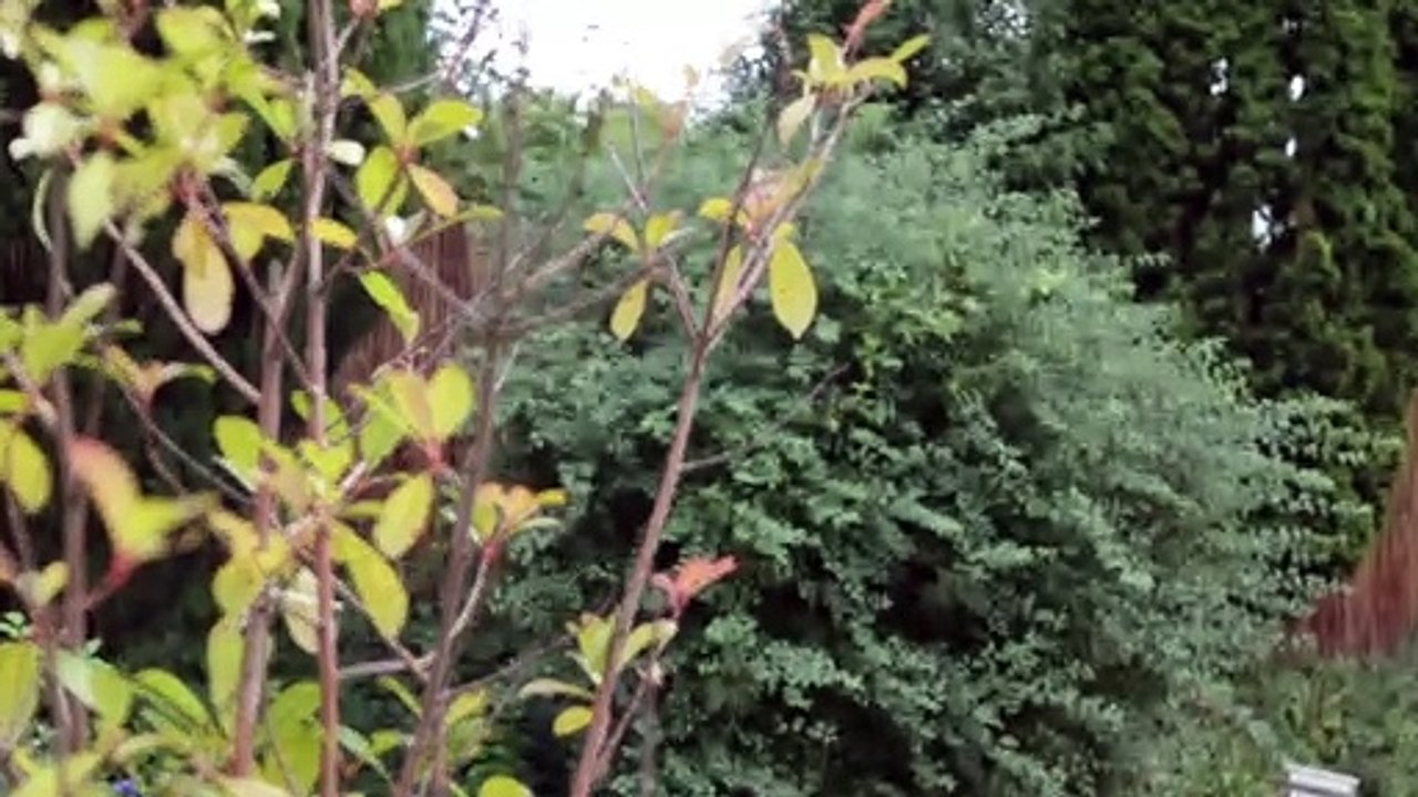 Journée de la rénovation - Réhabilitation d’une ancienne chapelle de campagne pour en faire une maison familiale. Contruite en…