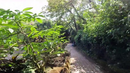 nandi hills station in bangalore