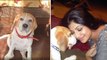 Shilpa Shetty ने अपनी Princess Dog के Demise पर Share किया Emotional Video Viral | Boldsky