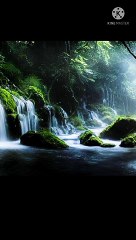 Nature amazing scenes | nature short