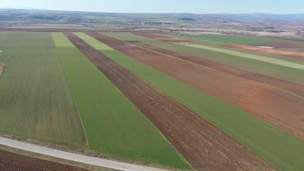 Trakya'da çiftçilere "kuraklığa dayanıklı ürün ekmeleri" tavsiyesi