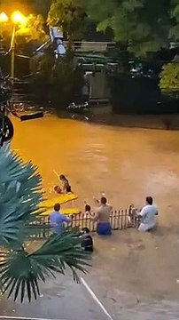 Autocarros, casas, lojas. As imagens da destruição em Petrópolis