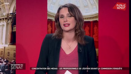 Concentration des médias : les professionnels de l'édition devant la commission d'enquête   - Les matins du Sénat (17/02/2022)