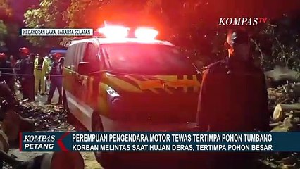 Perempuan Pengendara Motor Tewas Tertimpa Pohon Besar yang Tumbang di Kebayoran Lama