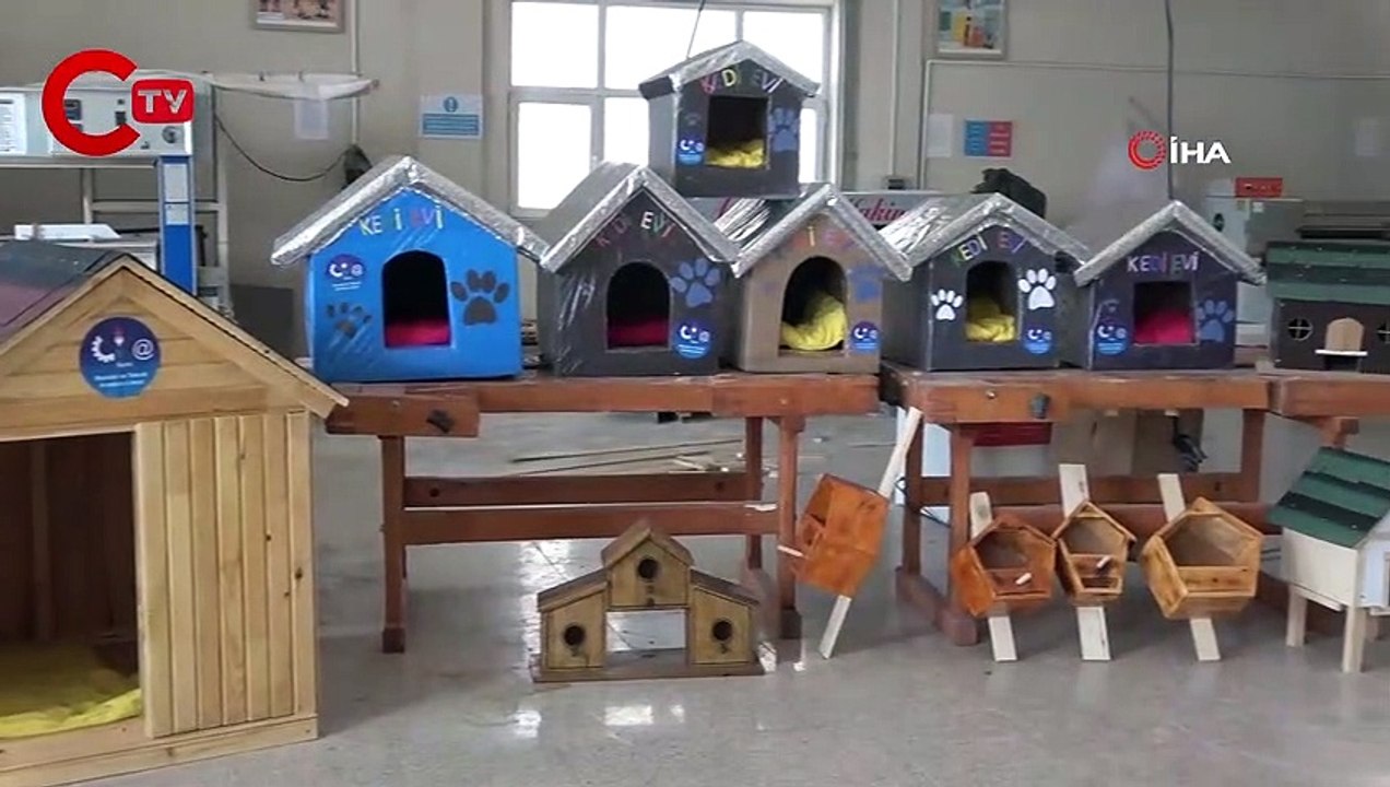 Lise öğrencileri ‘can dostlar’ için kulübe üretti