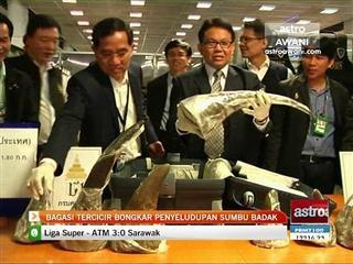 Bagasi tercicir bongkar penyeludupan sumbu badak