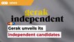 Gerak announces first batch of candidates, constituencies they will contest for GE15