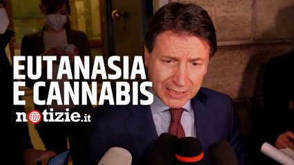 Referendum, Conte sulla bocciatura di eutanasia e cannabis: "Politica non può rimanere indietro"