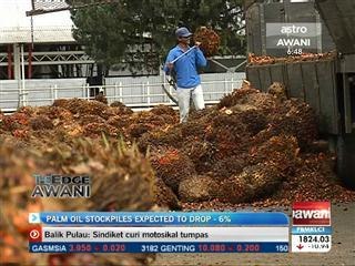 Palm oil stockpiles expected to drop - 6%