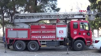 AĞAÇTA MAHSUR KALAN KEDİYİ, İTFAİYE KURTARDI