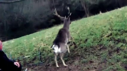 Sussex Daily Bulletin Feb 17 2022