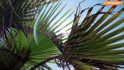 ENGIE, energia rinnovabile per alimentare le sedi di Amazon in Italia