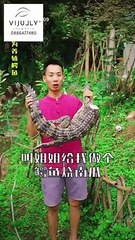 Chị Em Kiều Kiều trở lại với món Cá Sấu hầm Bí Đỏ. Yên Bình quá ạ