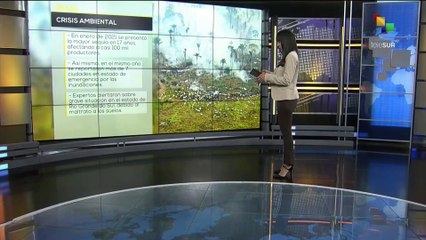 “No hay un planeamiento de la política ambiental en los últimos años en Brasil”