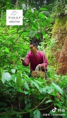 Kiều lại kiếm được đầu heo rồi mọi người ạ