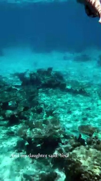 Frédérick Bousquet et sa fille Manon en vacances à Tahiti.
