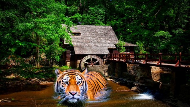 Piano Music for Relaxing with Stunning Nature : Relaxing, Sleeping, Study, Stress relief Music