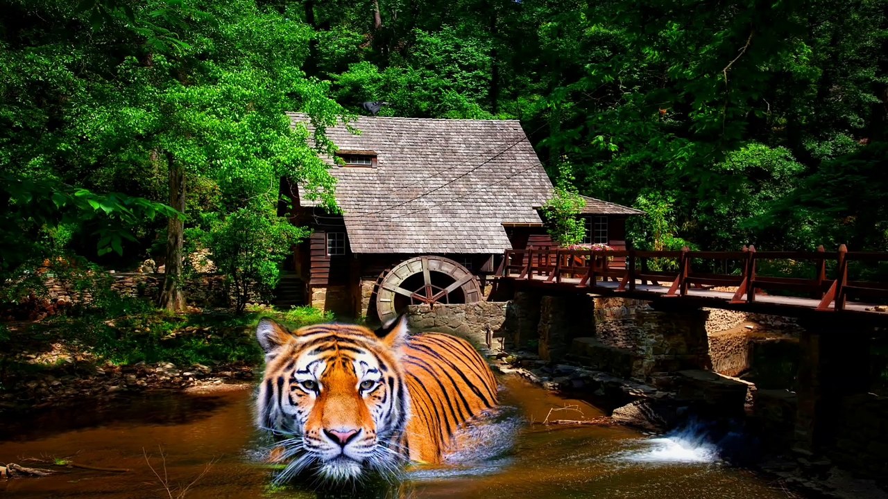 Piano Music for Relaxing with Stunning Nature : Relaxing, Sleeping, Study, Stress relief Music