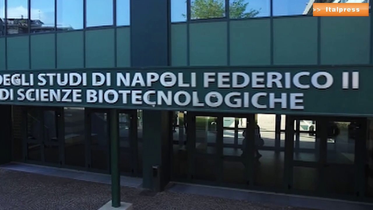 Covid, data mining per il rischio della forma grave
