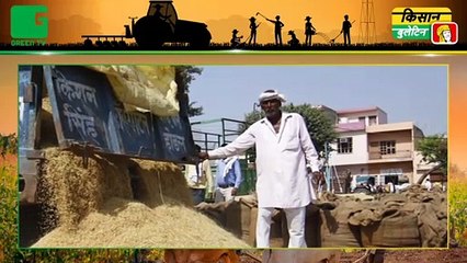 किसानों का इंतज़ार सरकारी खरीद केंद्र पर मगर किसान व्यापारियों को बेच रहे फ़सल Kisan Bulletin #GreenTV