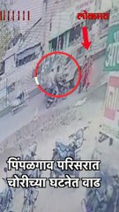 चोराचं धाडस तर बघा, पोलीस स्टेशन समोरच महिलेची पोत लांबविली...