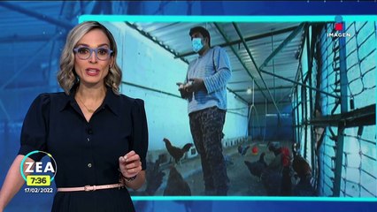 Albergue autosustentable alimenta a migrantes y sirve como centro de terapia