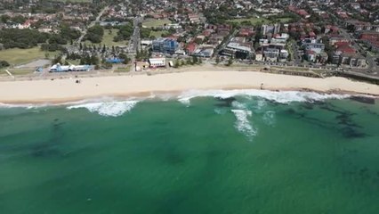 Download Video: Cierran varias playas de Sidney tras el primer ataque fatal de un tiburón en 60 años