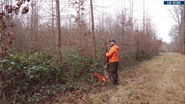 Comment va la France ? Dans la Somme, partie de chasse entre gibiers d'eau et gros gibiers