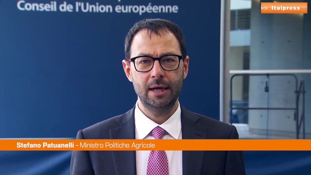 Accordo Ue sulla Politica Agricola Comune, Patuanelli: Riforma storica
