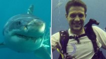 Australie : un instructeur de plongée de 35 ans tué par un requin blanc