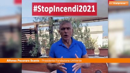 Incendi, Pecoraro Scanio: "Occorre un'azione forte"