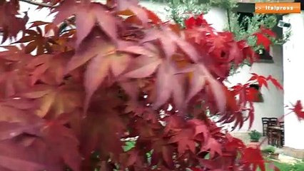 Turismo, luglio sotto le aspettative