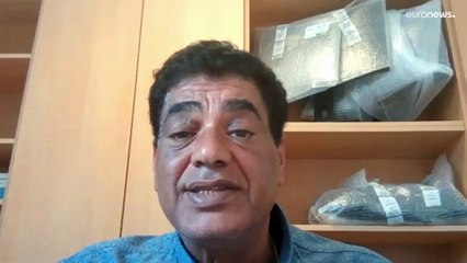 Teure Rettung: "Vier Pfoten" siedelt argentinische Zirkus-Tiger nach Südafrika um