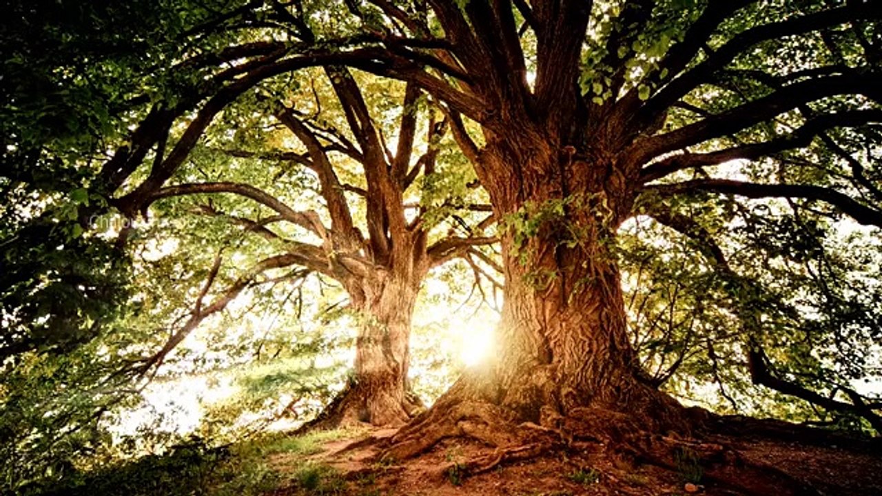 Chillout music Sleeping vibe Relaxing Sleep Music Insomnia Stress Relief, Relaxing Music, Deep Sleep